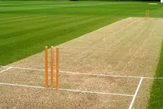 Cricket Pitch